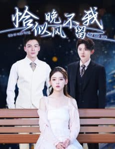 恰似晚风不留我&弃他如风 - 女频恋爱 (2025) 海报