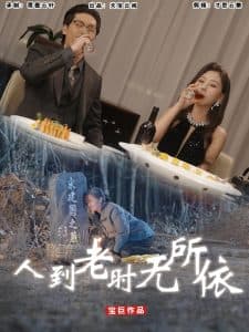 人到老时无所依 - 现代都市 (2025) 海报