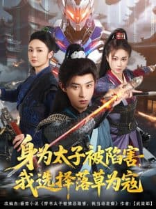 身为太子被陷害，我选择落草为寇 - 古装仙侠 (2025) 海报