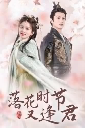 落花时节又逢君 - 国产剧 (2024) 海报