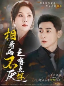 相看两不厌之有点坏 - 现代都市 (2025) 海报