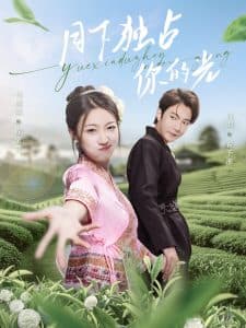 月下独占你的光 - 女频恋爱 (2025) 海报