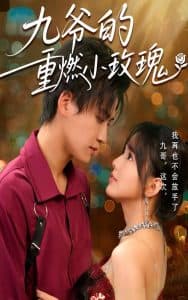 九爷的重燃小玫瑰 - 女频恋爱 (2025) 海报