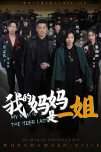 我的妈妈是一姐 - 反转爽剧 (2025) 海报