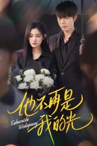 他不再是我的光 - 现代都市 (2025) 海报