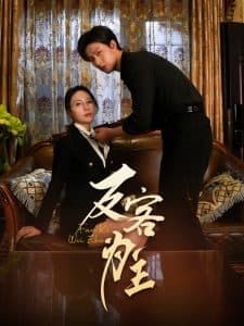 七年谜情＆反客为主 - 女频恋爱 (2025) 海报