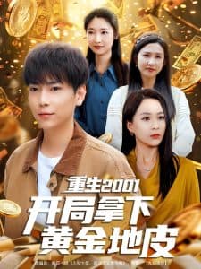 重生2001开局拿下黄金地皮 - 年代穿越 (2025) 海报