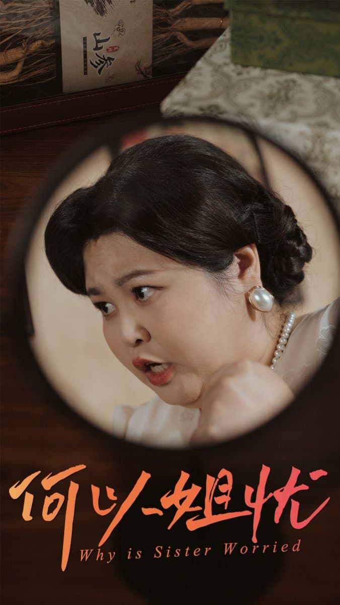 何以姐忧 - 现代都市 (2025) 海报