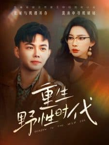 重生野性时代 - 年代穿越 (2025) 海报