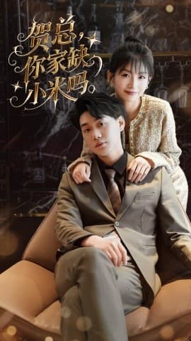 贺总你家缺小米吗 - 现代都市 (2025) 海报