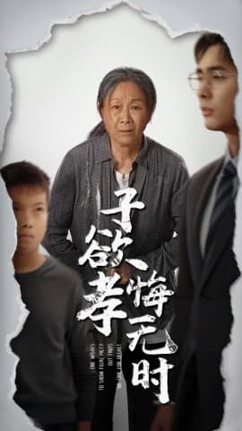 子欲孝悔无时 - 现代都市 (2025) 海报