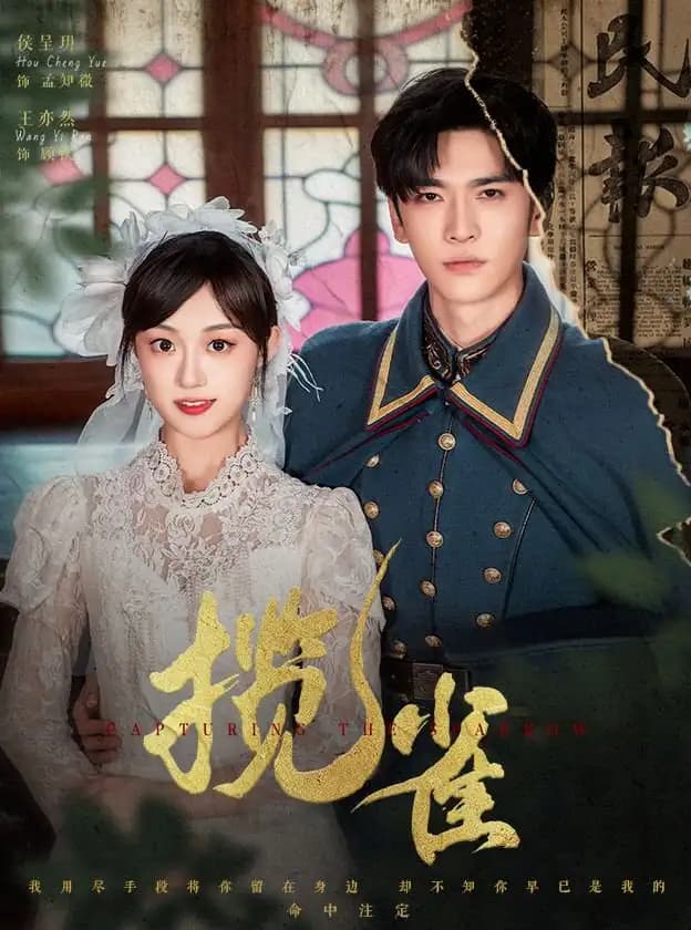 揽雀 - 女频恋爱 (2025) 海报