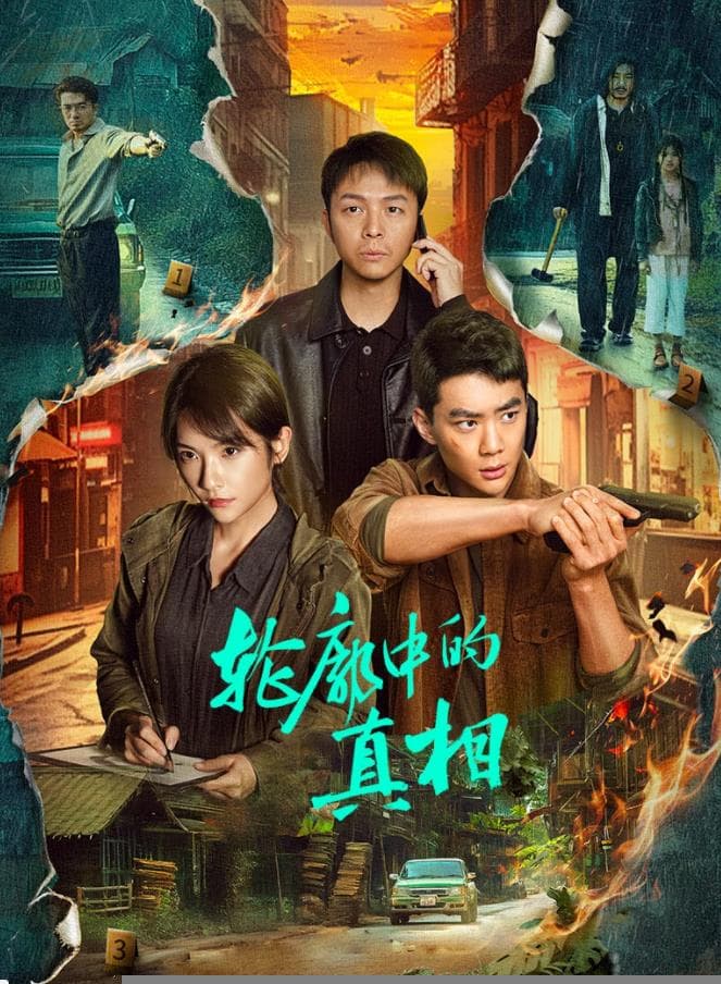 轮廓中的真相 - 国产剧 (2025) 海报