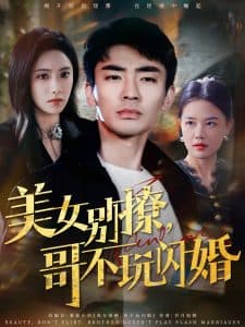 美女别撩,哥不玩闪婚 - 反转爽剧 (2025) 海报