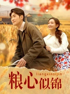 粮心似锦 - 年代穿越 (2025) 海报