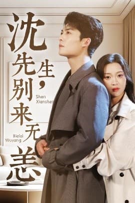 沈先生，别来无恙 - 女频恋爱 (2025) 海报