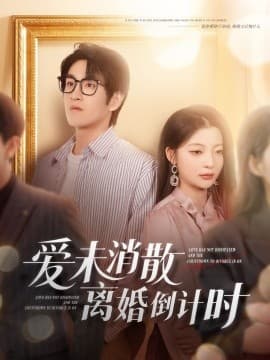 爱未消散离婚倒计时 - 现代都市 (2009) 海报