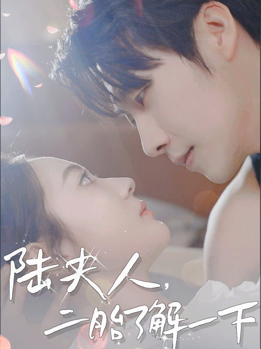 陆夫人，二胎了解一下 - 女频恋爱 (2025) 海报