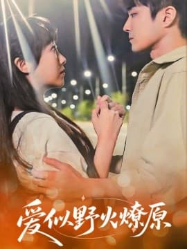 爱似野火燎原 - 女频恋爱 (2025) 海报