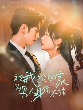 被我捡回家的男人身价不菲 - 女频恋爱 (2025) 海报