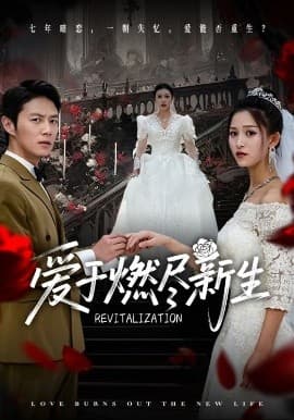 爱于燃尽新生 - 现代都市 (2025) 海报