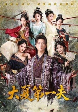 大夏第一夫 - 古装仙侠 (2025) 海报