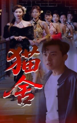 猫舍 - 现代都市 (2025) 海报