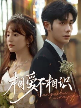 相爱不相识 - 反转爽剧 (2025) 海报