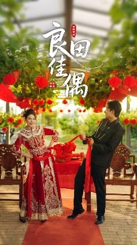 良田佳偶 - 女频恋爱 (2025) 海报