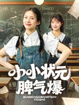 小小状元脾气爆 - 现代都市 (2025) 海报