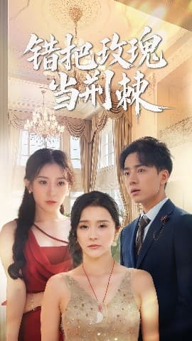 错把玫瑰当荆棘 - 现代都市 (2025) 海报