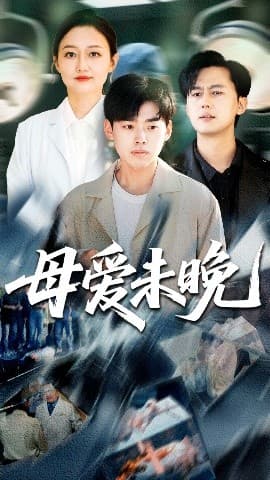 母爱未晚 - 现代都市 (2025) 海报