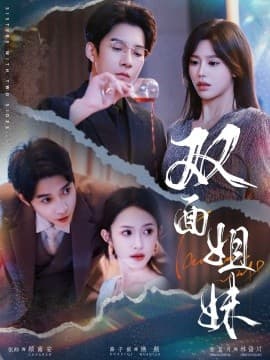 双面姐妹 - 现代都市 (2025) 海报