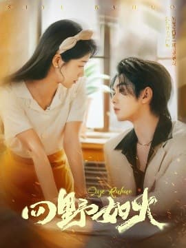 四野如火 - 女频恋爱 (2025) 海报