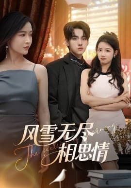 风雪无尽相思情 - 女频恋爱 (2025) 海报