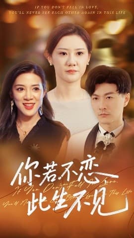 你若不恋此生不见 - 现代都市 (2025) 海报