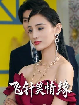 飞针笑情缘 - 现代都市 (2025) 海报