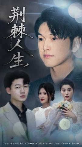 荆棘人生 - 现代都市 (2025) 海报