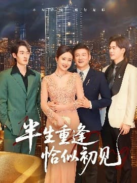 半生重逢恰似初见 - 现代都市 (2025) 海报
