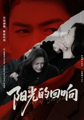 阳光的回响 - 反转爽剧 (2025) 海报