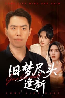 旧梦尽头逢新 - 现代都市 (2025) 海报