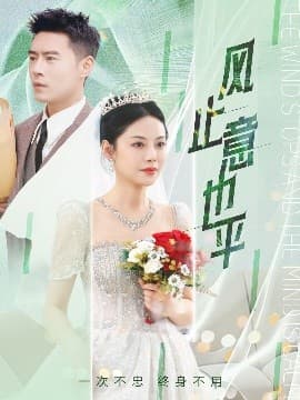 风止意也平 - 现代都市 (2025) 海报