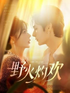 野火灼欢 - 女频恋爱 (2025) 海报