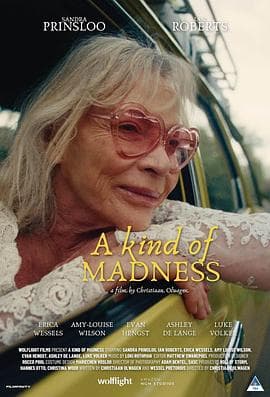 某种疯狂 - 剧情片 (2025) 海报