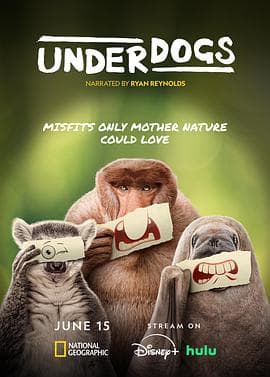 失败者2025 - 纪录片 (2025) 海报