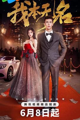 我本无名 - 国产剧 (2025) 海报