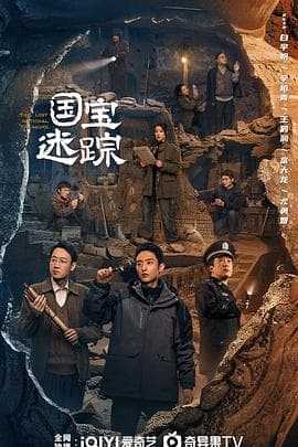 护宝寻踪 - 国产剧 (2025) 海报