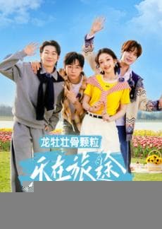 乐在旅途第三季 - 大陆综艺 (2025) 海报