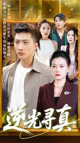 逆光寻真 - 现代都市 (2025) 海报