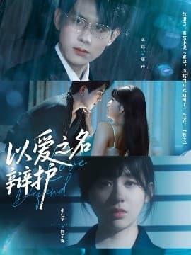 以爱之名辩护 - 女频恋爱 (2025) 海报